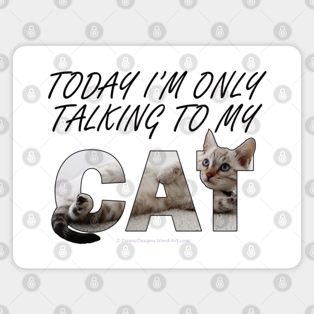 Today I'm only talking to my cat - silver tabby oil painting word art Magnet by DawnDesignsWordArt